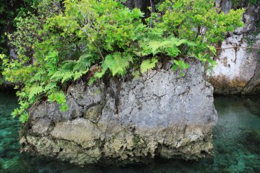 deniz gökyüzü palau