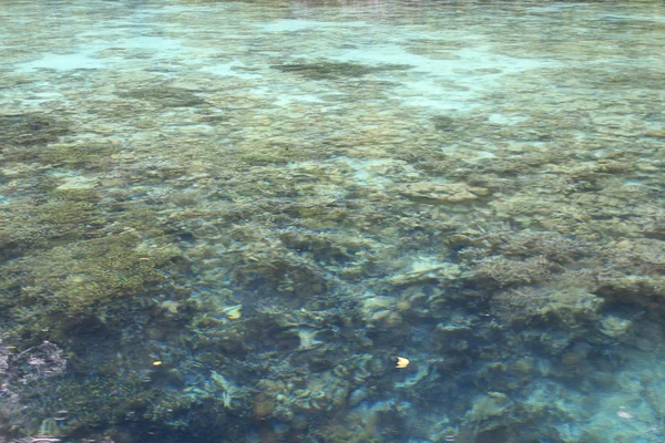 Sea Sky Palau Stockfoto