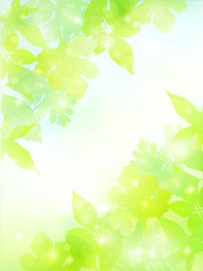 bitki yaprağı arka plan