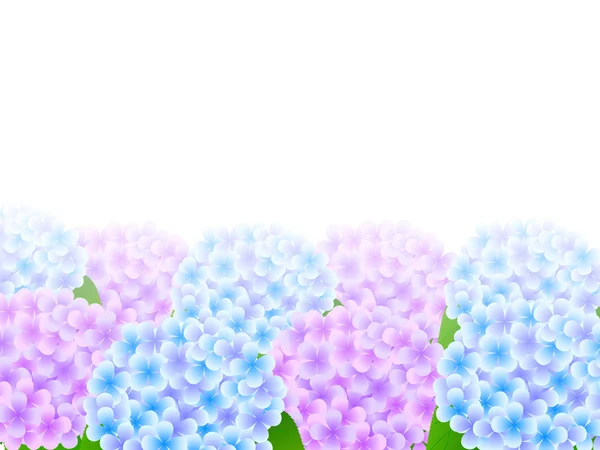 Hortensie Blume Hintergrund — Stockvektor