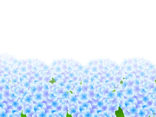 Hydrangea fondo de la flor — Vector de stock