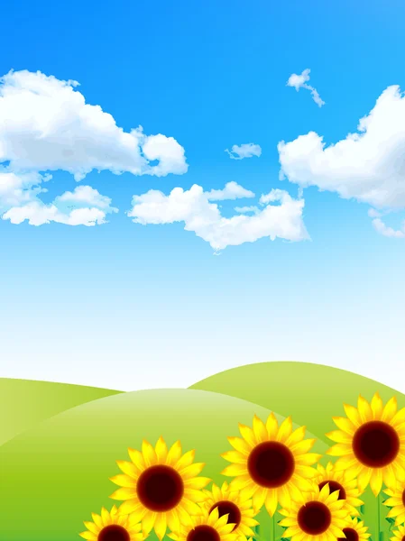 Sonnenblumen Landschaft Hintergrund — Stockvektor