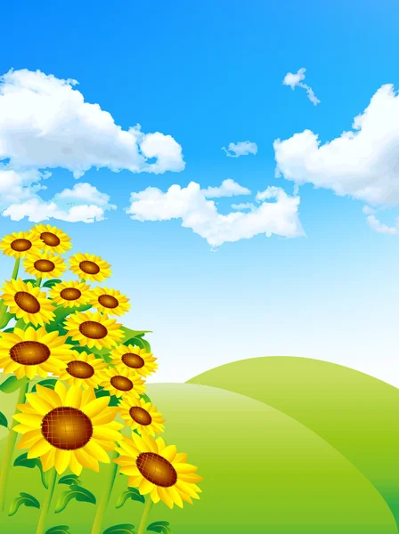 Sonnenblumen Landschaft Hintergrund — Stockvektor