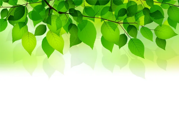 Фон листьев растений — стоковый вектор