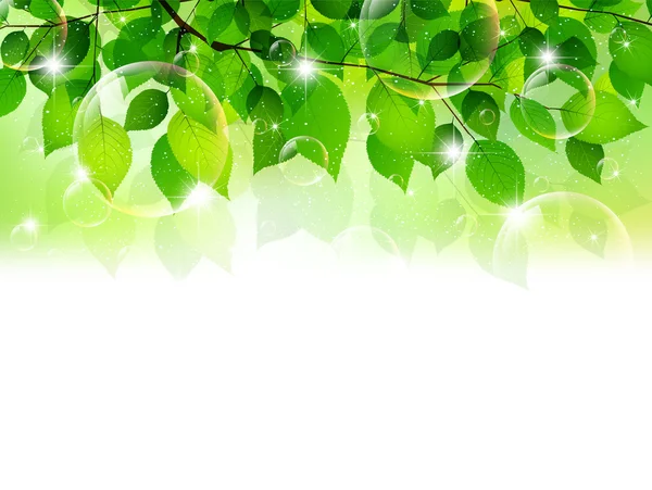 Фон листьев растений — стоковый вектор