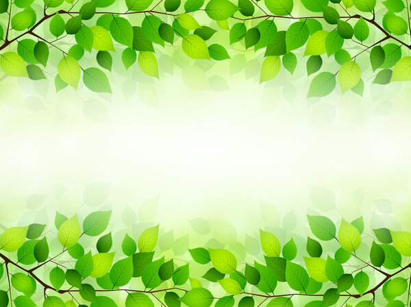 Plant leaf background