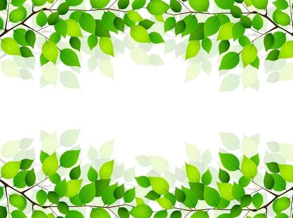 Pflanzliches Blatt Hintergrund — Stockvektor