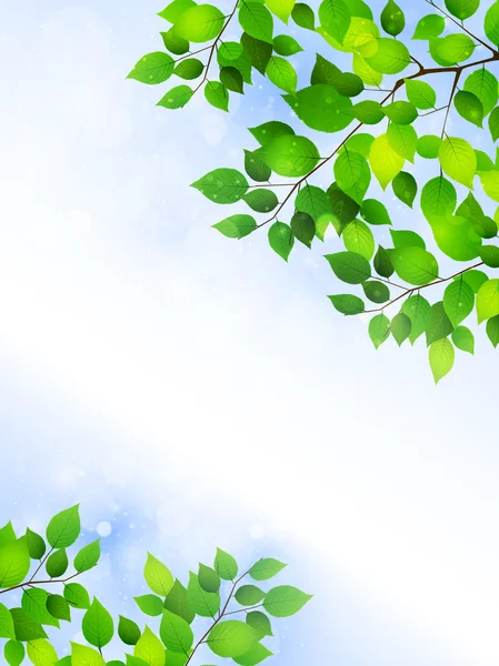 植物の葉の背景 — ストックベクタ
