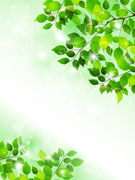植物树叶背景 — 图库矢量图片