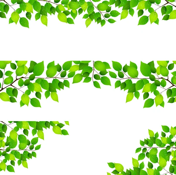 Fresh green leaf background — Stock Vector