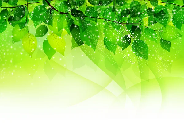 Verse groene bladachtergrond — Stockvector