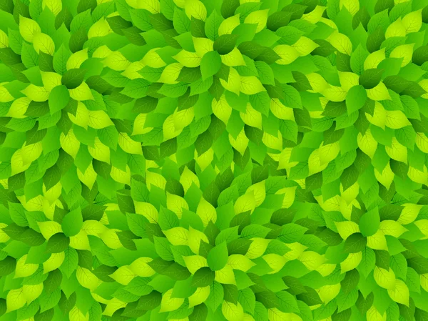 Paysage frais de feuilles vertes — Image vectorielle