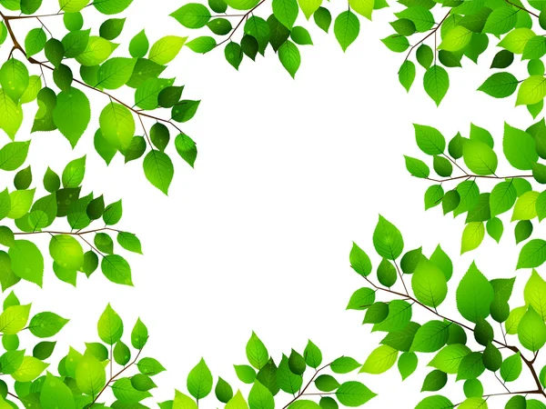 Färska gröna blad landskap — Stock vektor
