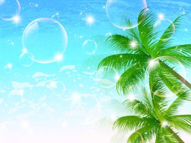 deniz hurma ağacı peyzaj