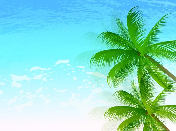 Tree landscape of sea palm — Stock Vector
