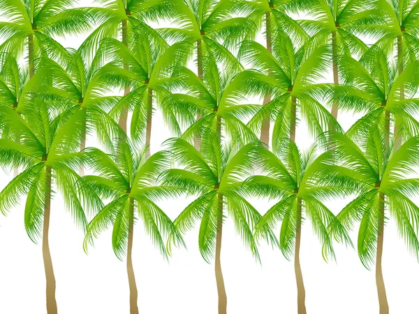 Фон пальмы — стоковый вектор