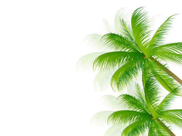 Background palm tree