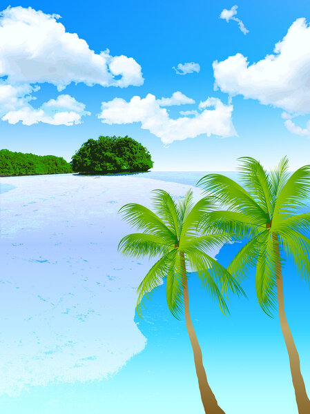 Sea palm landscape