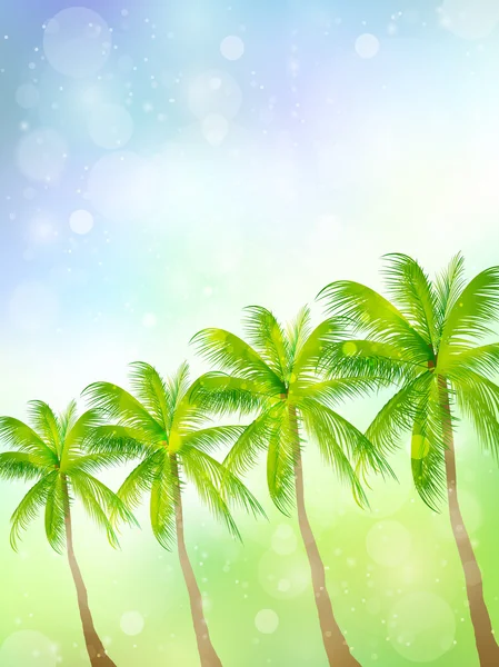 Palm hemel landschap — Stockvector