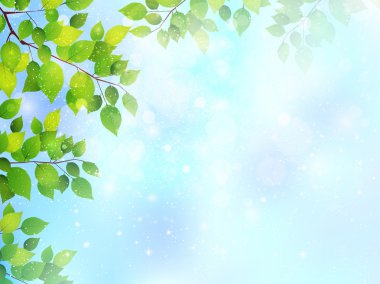 taze yeşil gökyüzü manzara