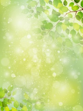 taze yeşil gökyüzü manzara