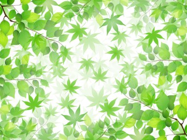 taze yeşil gökyüzü manzara