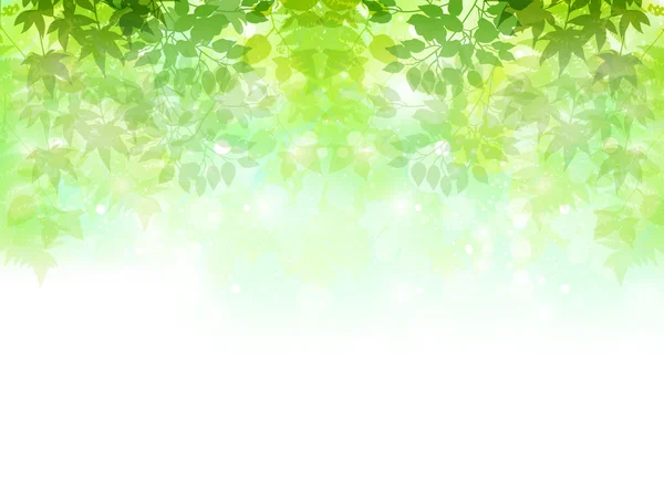 Świeże zielone niebo pejzaż — Wektor stockowy