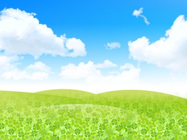 Leaf clover peyzaj