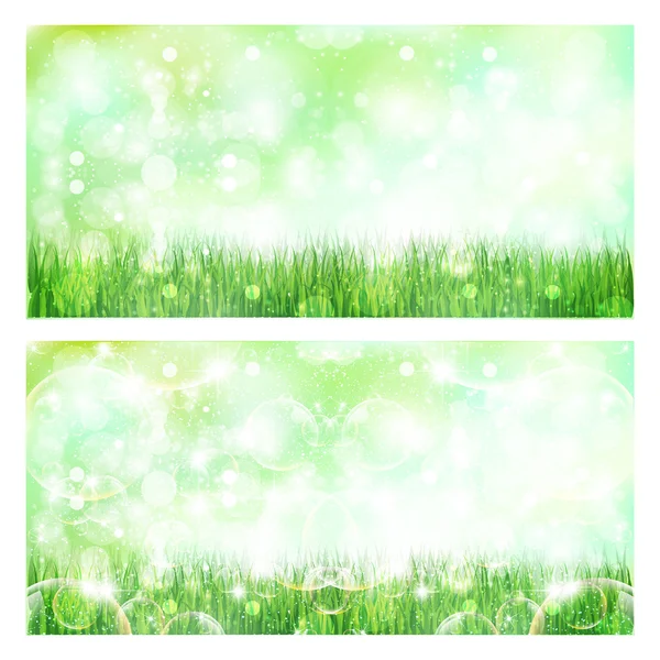 Banderas naturales con hierba y cielo — Vector de stock