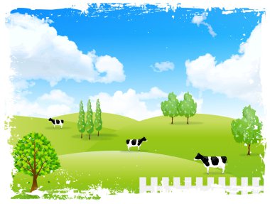 manzara ranch sığır