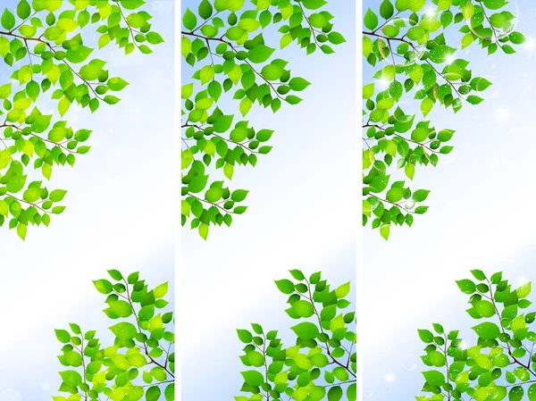 Taze yaprak yeşil peyzaj — Stok Vektör