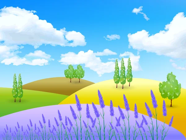 Lavendel blommor landskap — Stock vektor