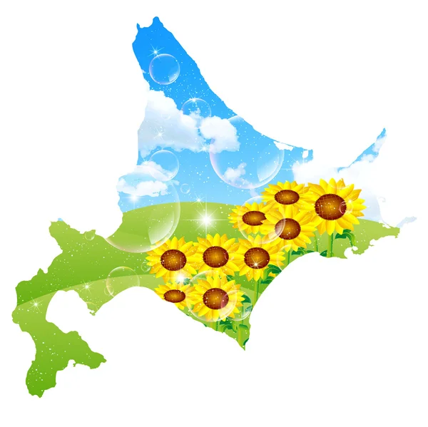 Hokkaido sunflower landscape — Stock Vector