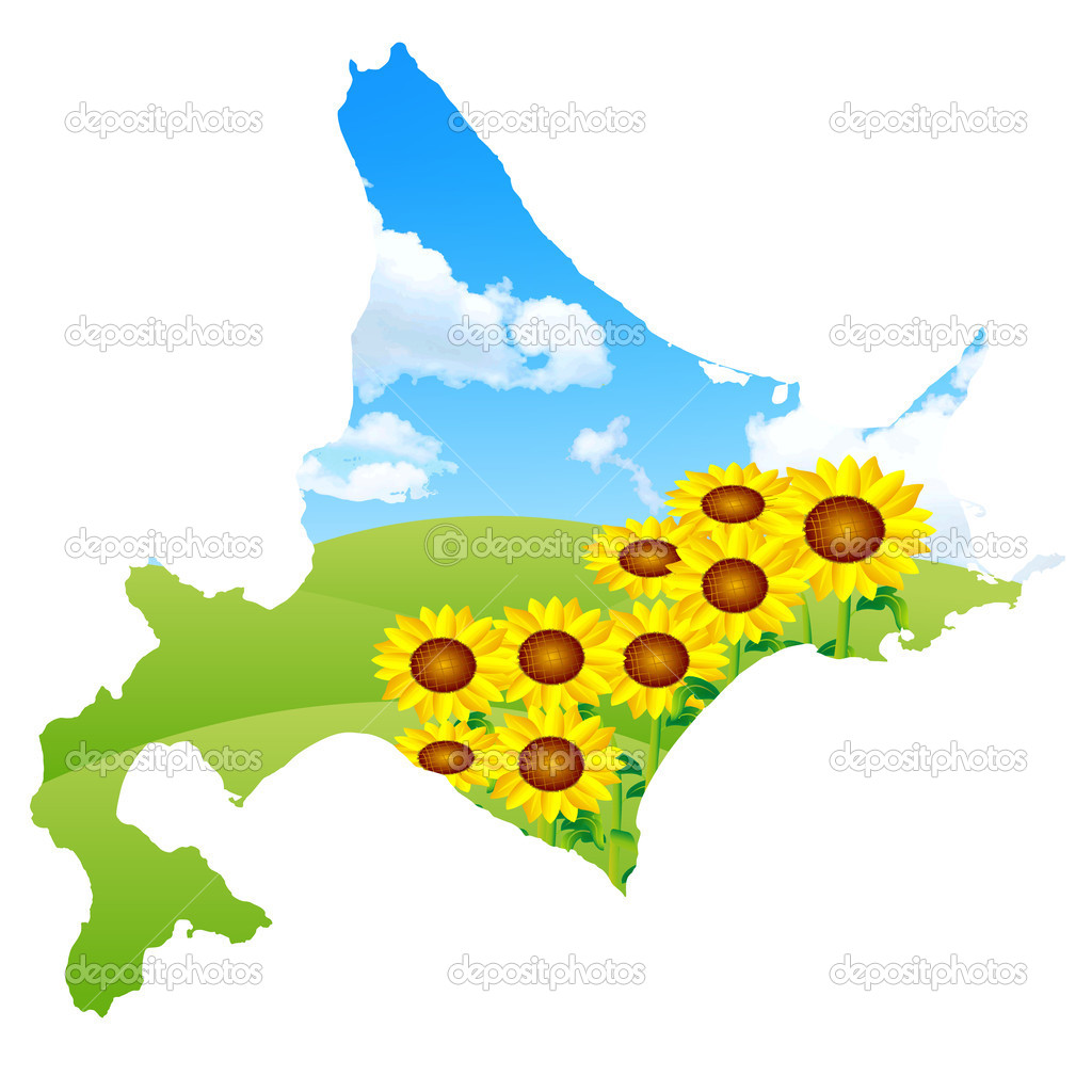 Hokkaido sunflower landscape
