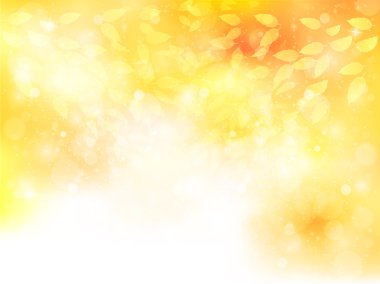 akçaağaç yaprakları peyzaj