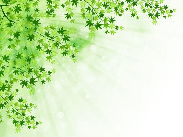 Φρέσκα φύλλα πράσινο τοπίο — Διανυσματικό Αρχείο