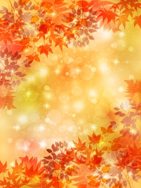 akçaağaç sonbahar yaprakları