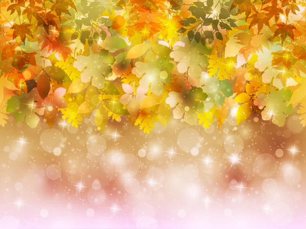 秋天的枫叶 — 图库矢量图片