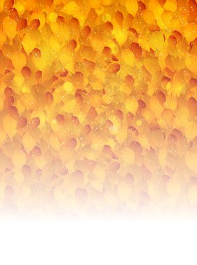 arka plan akçaağaç sonbahar yaprakları