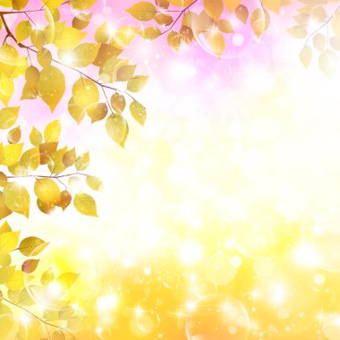 arka plan akçaağaç sonbahar yaprakları