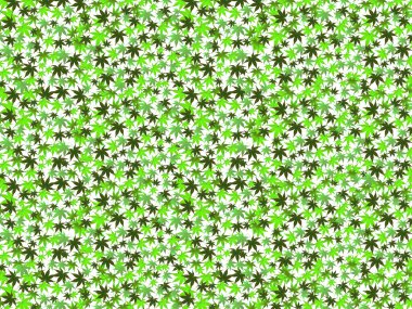 Akçaağaç arkaplanı terk eder