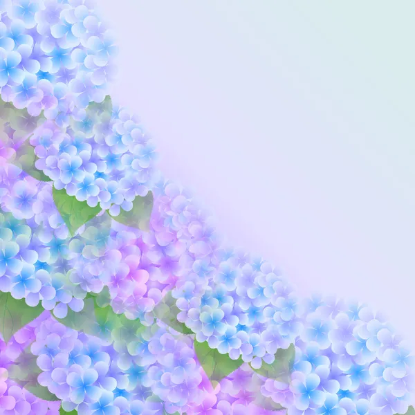Fond de fleur d'hortensia — Image vectorielle