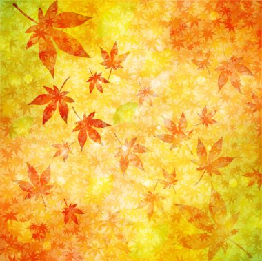 arka plan akçaağaç sonbahar yaprakları