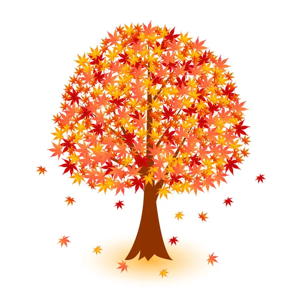 Maple tree foliage — Stock Vector