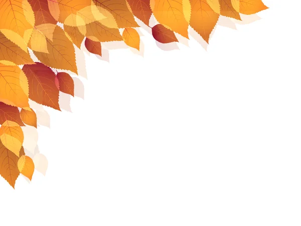 Maple herfstbladeren achtergrond — Stockvector