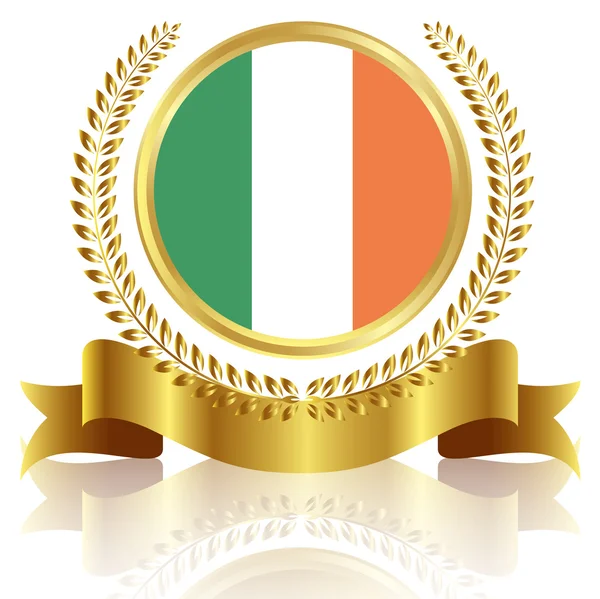 Rama flaga Narodowa Irlandii — Wektor stockowy