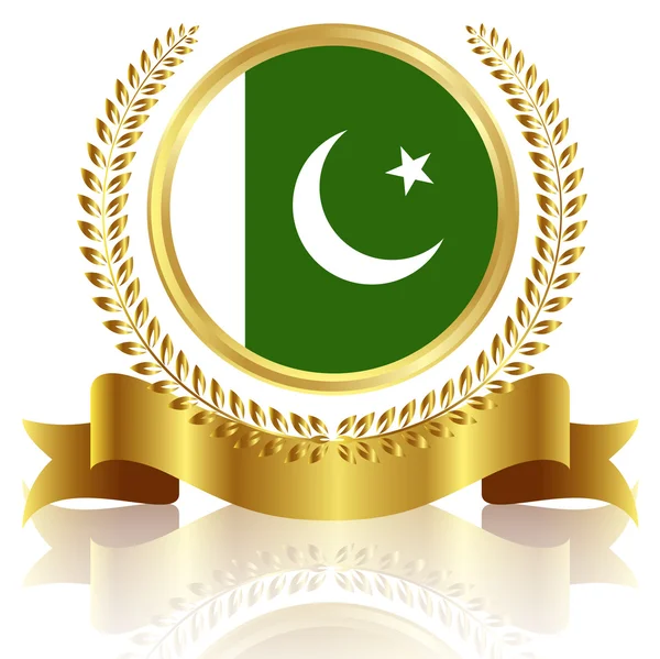 Pakistán marco de la bandera nacional — Archivo Imágenes Vectoriales