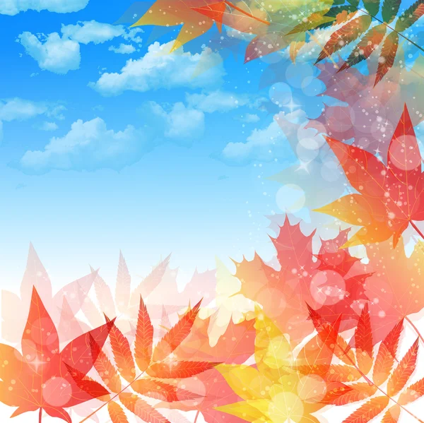 Maple autumn leaves background — Stock Vector