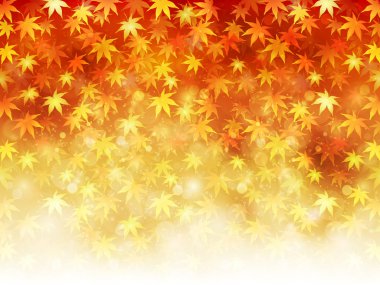 arka plan akçaağaç sonbahar yaprakları