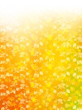 arka plan akçaağaç sonbahar yaprakları